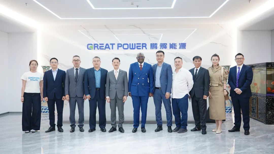 冈比亚共和国驻华大使到访尊龙凯时，共商西非光储项目相助